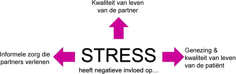 STRESS heeft negatieve invloed op