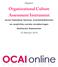 Organizational Culture Assessment Instrument