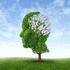 Wat is dementie, wat is Alzheimer?! En wat komt er op ons af?! Prof Frans Verhey. Maastricht University Medical Center Alzheimer Centrum Limburg