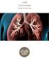 COPD Pneumologie. Patiënteninformatie