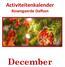 Activiteitenkalender. Rosengaerde Dalfsen. December